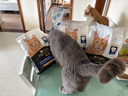 冠能猫粮7岁以上老年猫猫粮2.5kg 全价猫粮 延长健康生活时间 实拍图