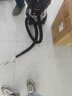 亿力桶式手持吸尘器家用超强大吸力工业车载商用大功率有线 干湿两用除尘地毯桌面开荒保洁【价保618】 实拍图
