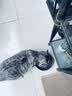 京七高肉无谷低敏猫粮5斤成猫幼猫通用英短美短蓝猫全价天然粮2.5kg 实拍图