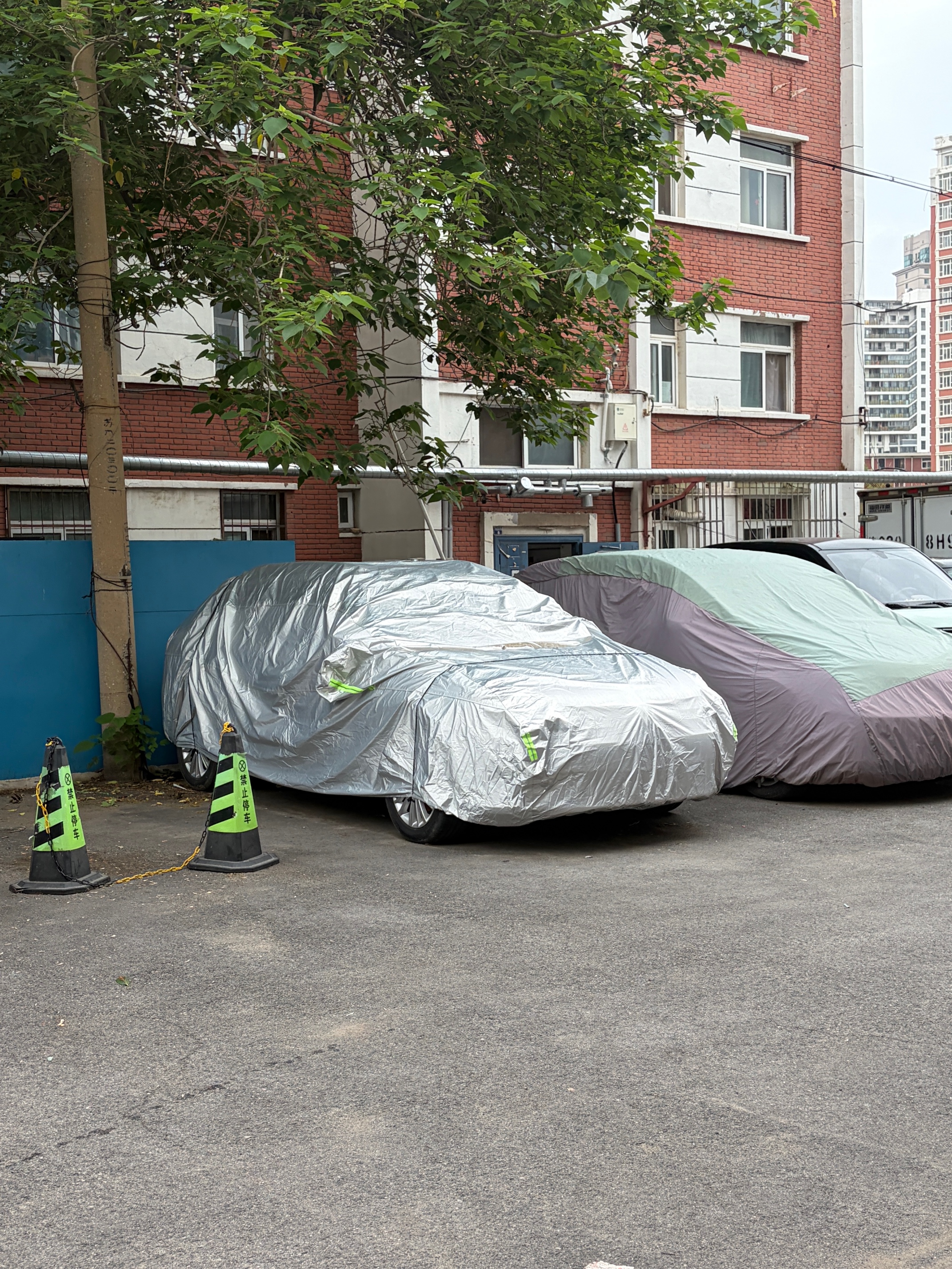 汽车车衣车罩防晒防雨防尘隔热遮阳盖布全罩奔驰宝马凯迪拉克奥迪 铝膜 大众朗逸 实拍图