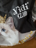 亿迪猫粮冻干幼猫成猫10斤全价英短蓝猫布偶老年猫国产通用全阶段5kg 实拍图