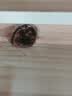 全友家居 实木高低床男孩女孩青少年原木风上下铺床家具1.2米 实拍图