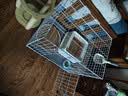 【京东快递】白色多层猫笼子超大空间家用猫窝猫睡玩一体猫咪折叠 双层【基础套餐】一层厕所+二层休息XL-84*61*67cm 实拍图
