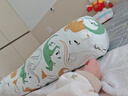 babycare婴儿安抚枕头宝宝多功能抱枕透气枕头6月-6岁-比奇角恐龙39*12cm 实拍图