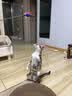 小米米家净水器1A/500G滤芯1号3in1复合滤芯2号反渗透RO过滤芯 1号+2号【1A套装】 实拍图