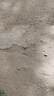 雅诗兰黛DW持妆粉底液17#1W1暖调偏白色30ml控油遮瑕化妆品礼盒生日礼物 实拍图