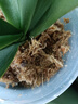 史丹利水苔150g 蝴蝶兰专用土干苔藓养兰花的营养土优质文石斛心兰乌龟 实拍图
