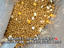 好主人新品狗粮鸭肉梨冻干四拼成犬粮通用成犬粮360g【试吃装】 实拍图