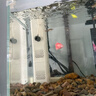 森森（SUNSUN）鱼缸过滤器净水循环三合一内置小型水族箱过滤系统XQP-1500F 23W 实拍图