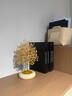 赟娅天然玉石黄水晶发财树摆件玄关客厅酒柜装饰高档开业乔迁生日礼物 【手提礼盒装】玉石黄水晶发财树 晒单实拍图