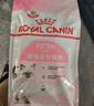 皇家绝育幼猫粮 KS34 通用粮 6-12月 2KG 实拍图