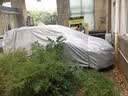 智国者车衣全车罩通用防晒雨隔热尘防冰雹哈弗h6本田crv宝马x3suv汽车罩 实拍图