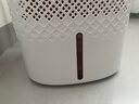 美的（Midea）【冷蒸发静音】空气无雾加湿器家用卧室孕妇婴幼静音抑菌桌面空调风扇清凉伴侣生日礼物SZ-3J40 实拍图