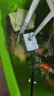 森森 小鲤鱼缸水泵小型潜水泵过滤泵抽水泵XQP-1000 15W  实拍图