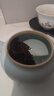 正山堂特级广元红茶熊猫红茶 2026新茶四川川红茶叶 花蜜竹香草木韵送礼 60克（30克*2罐）(赠试饮集) 实拍图