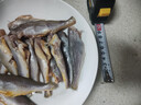 三都港 冷冻海捕小黄鱼700g 24-29条 黄花鱼 深海鱼 生鲜 鱼类 烧烤食材 实拍图