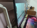飞利浦EVNIA弈威电竞显示器 24.5英寸2K原生300Hz FastIPS HDR400出厂校准 HDMI2.1硬件低延迟25M2N5500U 实拍图