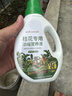 绿盼 四季桂花树营养液浓缩丹金银桂月桂盆栽树苗专用激活增根壮花肥 实拍图