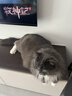 伟嘉猫粮成猫 金装升级营养加油站2kg海洋鱼 名目靓毛夹心粮蓝猫英短 实拍图