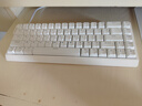 迈从（MCHOSE）Ace 68 V2磁轴键盘Gus同款RT电竞游戏低延迟60pro机械有线连接68键配列FPS双驱动无畏契约 Ace 68 电竞版 白色 蓝冰磁轴 实拍图