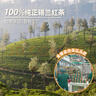 迪尔玛精选锡兰红茶锡纸包 25袋*2g 茶包 独立包装 斯里兰卡进口 实拍图