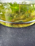 滴露（Dettol）消毒液衣物除菌液洗衣消毒水1.8L*1 衣物混洗杀菌除螨 非84酒精 实拍图