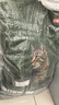 京东京造全价牛肉味猫粮10kg成猫幼猫粮通用型 实拍图