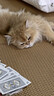 纪梵希（Givenchy）【达人专享】小羊皮N306番茄红色口红唇膏 生日礼物送女友 实拍图