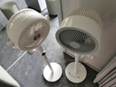美的（Midea）【净化驱蚊】空气循环扇直流变频新款大风力家用落地扇3D摇头桌面电风扇卧室轻音一级能效GDJ24DXS 实拍图