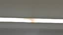 雷士（NVC）led灯条线型灯led灯带COB5米装-暖白光-352灯珠/米-需购低压电源 实拍图