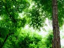 松下（Panasonic）Lumix G100D M43画幅相机 M43卡口 微单相机 无反数码相机 G100D单机+【25mmF1.7】单镜头定焦 实拍图