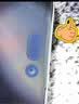 闪魔【AR增透抗反光】适用iPhone17pro钢化膜苹果17Pro手机膜AR增透全屏覆盖防尘无尘仓保护膜2片装 实拍图