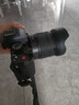 松下（Panasonic）Lumix G100D M43画幅相机 M43卡口 微单相机 无反数码相机 G100D+【12-60mm白盒】单镜套装 实拍图