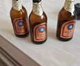 青岛啤酒（TsingTao）金质小棕金低温酿造296ml*6瓶 实拍图