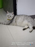 秋叶原（CHOSEAL）六类千兆网线 CAT6类非屏蔽纯铜线芯 工程家装安防监控布线装修原装箱线 橙色 305米 QS2636CT305 实拍图