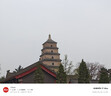 班尼路（Baleno）纯棉短袖t恤男2026年夏季美式潮牌字母小狗体恤衫宽松百搭上衣服 实拍图