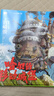 哈尔的移动城堡 宫崎骏作品 吉卜力官方审核认定唯一简体中文版绘本 实拍图