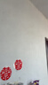 三棵树漆墙面修补膏防霉抗菌白色墙面去污修复腻子粉膏墙皮脱落防水补墙膏 实拍图