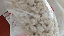 凤祥食品盐酥鸡原味1000g裹粉炸鸡鸡米花鸡块儿童食品 空气炸锅 实拍图