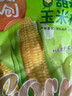 京鲜生东北黄糯玉米200g*3棒 新鲜甜糯玉米棒真空包装粘玉米  源头直发 实拍图