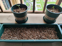 墨斗鱼花盆加仑盆加厚高款1加仑*3多肉绿萝月季盆栽树脂塑料简约带托盘 实拍图