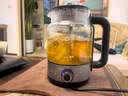 御茗纯钛煮茶器喷淋式家用全自动蒸汽煮茶养生壶玻璃保温黑白茶煮茶壶一体机智能茶炉大容量办公室蒸茶 纯钛煮茶器 实拍图