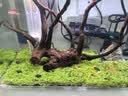 疯狂水草鱼缸过滤器循环水泵C2三合一循环过滤增氧系统全套 实拍图