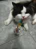 HELLOJOY猫咪不倒翁玩具羽毛逗猫棒球猫消耗体力自嗨解闷神器猫咪用品 实拍图