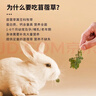 喜帅烘干紫花苜蓿草 幼兔兔粮牧草干草龙猫荷兰猪磨牙饲料净重750g 实拍图
