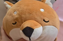 名创优品（MINISO）柴犬系列毛绒公仔趴姿玩具娃娃抱枕睡觉卧室办公室午睡枕生日礼物 实拍图
