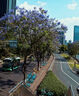 适马（SIGMA）16-300mm f3.5-6.7 DC OS ｜Contemporary 半画幅 远摄变焦镜头 旅游风光人像（RF卡口） 实拍图