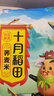 十月稻田 荞麦米 2斤 东北甜荞 五谷杂粮米 低脂粗粮 粥米伴侣新米 纯荞麦 实拍图