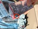 多美卡TOMY小汽车模型六一儿童节礼物初回版TP49日产GT-R跑车098720 实拍图