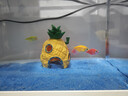 阔庭（KUOTING）缸水族箱生态桌面鱼缸新款懒人鱼缸生态造景过滤制氧一体机白色 实拍图